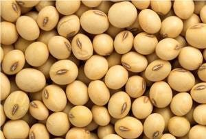 nutriko-soya-min
